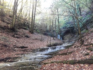 trekking monte cucco (9)