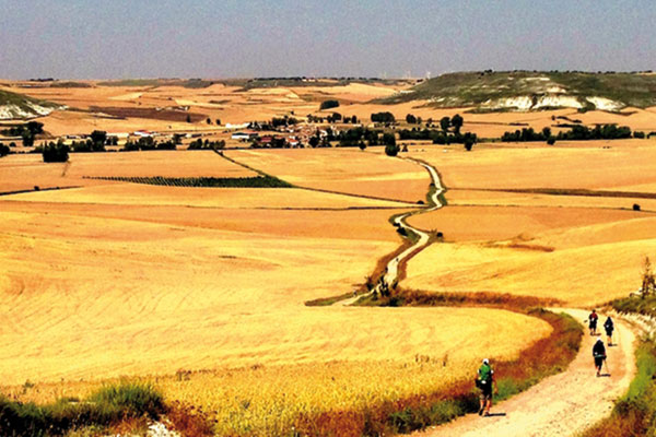 cammino-di-santiago in mountain bike