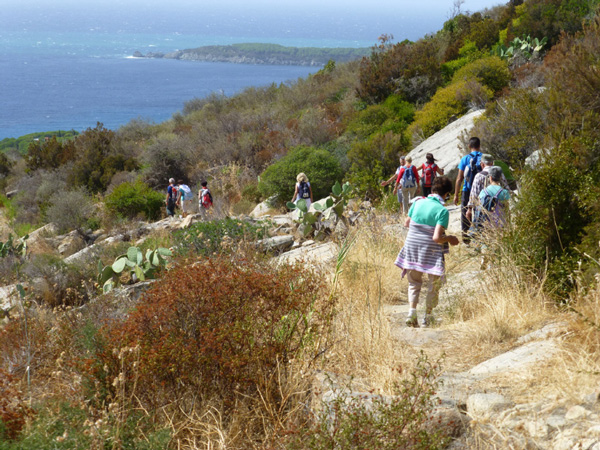 TREKKING ISOLA D'ELBA: IL PARADISO PER IL CAMMINATORE