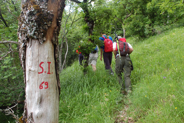 Le Terre del Duca Trekking