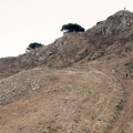 discesa-di-cima-del-monte