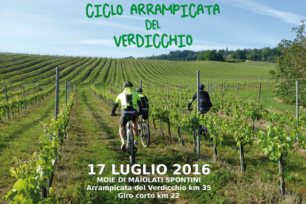 cicloarrampicata del verdicchio 2016