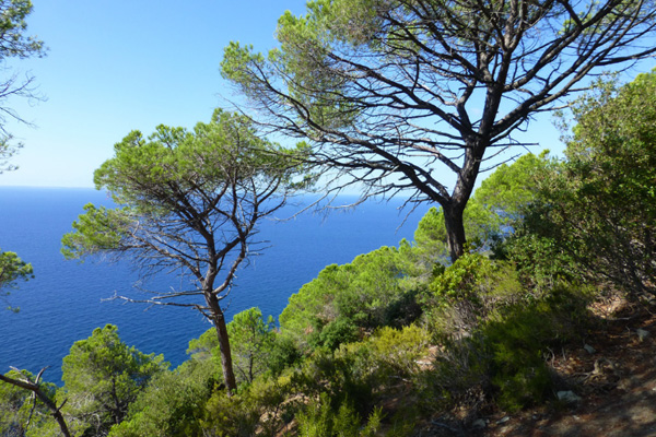 TREKKING LEGGERO ALL'ISOLA D'ELBA