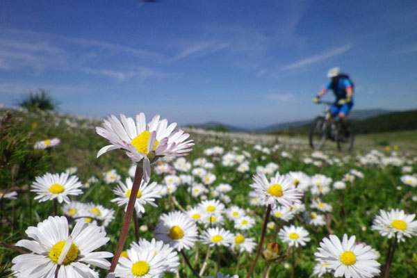 GRAN TOUR ALTA VAL POTENZA