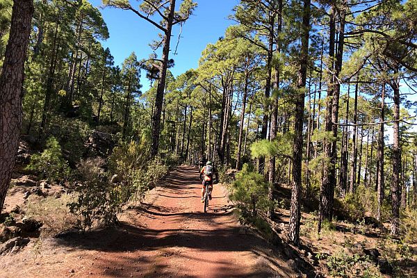 TENERIFE MTB