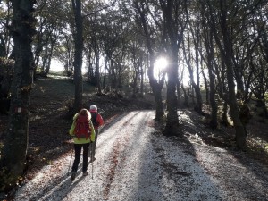 trekking monte cucco (11)