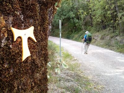 IL CAMMINO DI SAN FRANCESCO